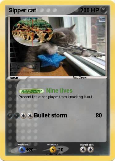 Pokemon Sipper cat
