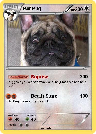 Pokemon Bat Pug