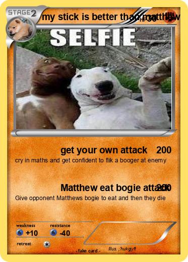 Pokemon my stick is better than matthew