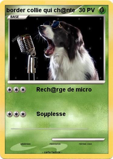 Pokemon border collie qui ch@nte