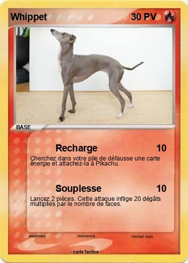 Pokemon Whippet
