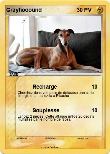 Pokemon Grayhooound