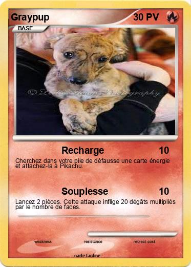 Pokemon Graypup