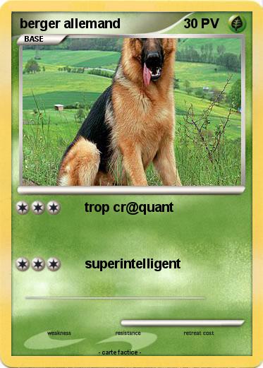 Pokemon berger allemand