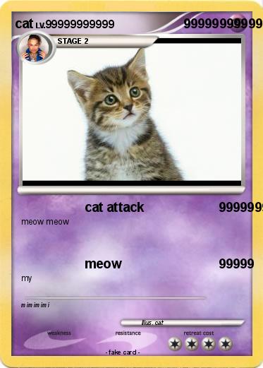 Pokemon cat