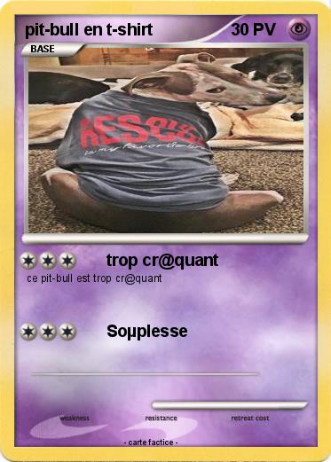 Pokemon pit-bull en t-shirt