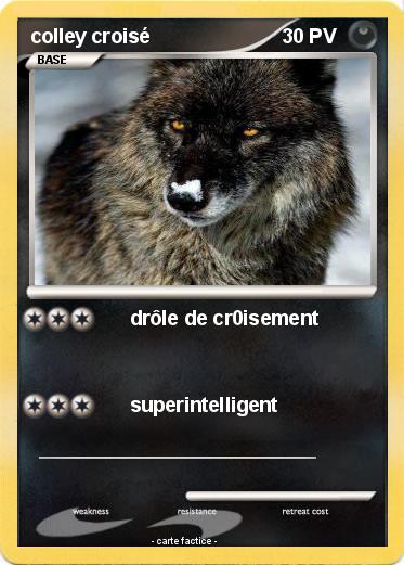 Pokemon colley croisé