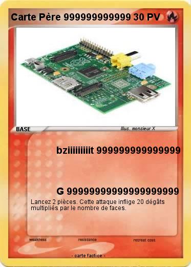 Pokemon Carte Père 999999999999