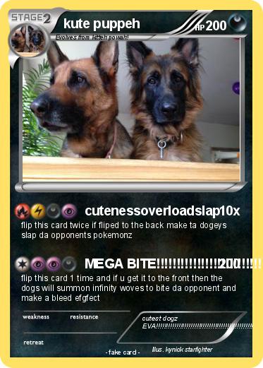 Pokemon kute puppeh