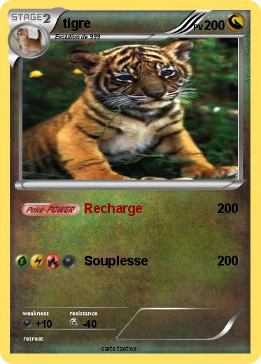 Pokemon tigre
