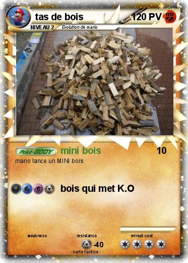 Pokemon tas de bois