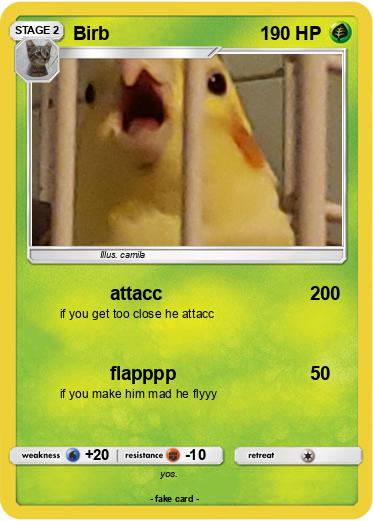 Pokemon Birb
