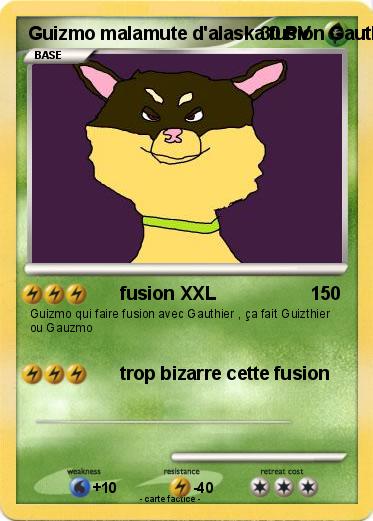 Pokemon Guizmo malamute d'alaska fusion Gauthier berger des pyrénées