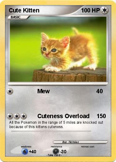 Pokemon Cute Kitten