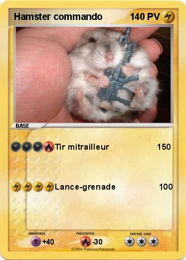 Pokemon Hamster commando