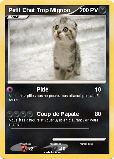 Pokemon Petit Chat Trop Mignon