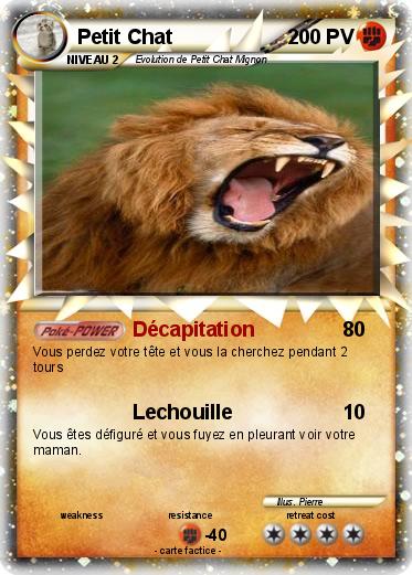 Pokemon Petit Chat