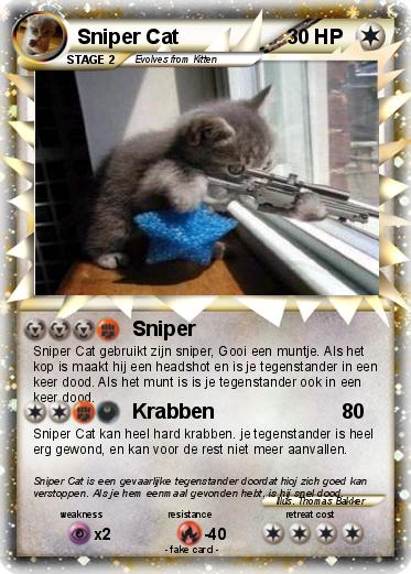 Pokemon Sniper Cat