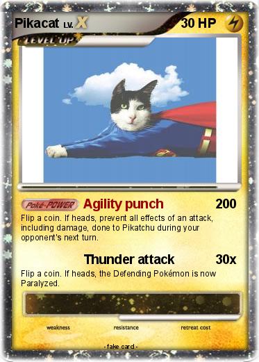 Pokemon Pikacat