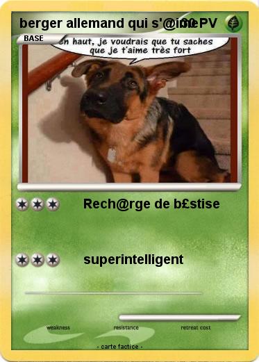 Pokemon berger allemand qui s'@ime