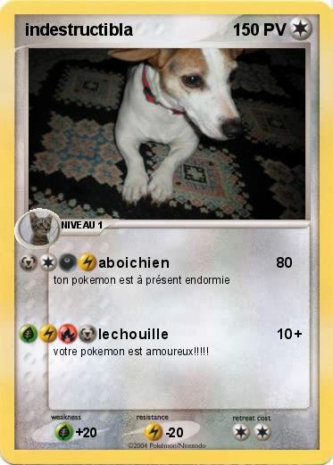 Pokemon indestructibla