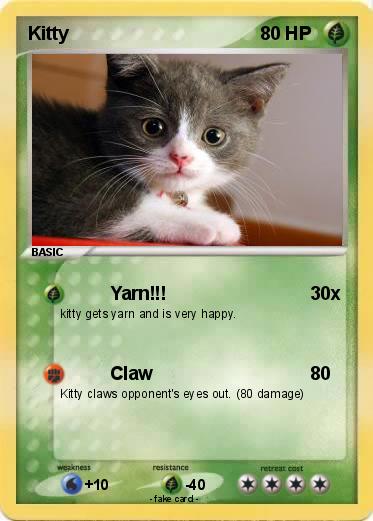 Pokemon Kitty