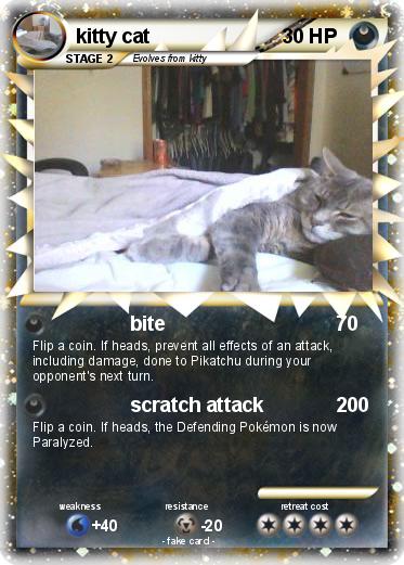 Pokemon kitty cat