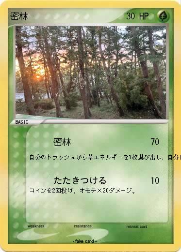 Pokemon 密林