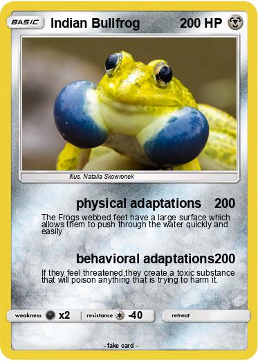Pokemon Indian Bullfrog