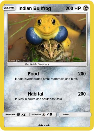 Pokemon Indian Bullfrog