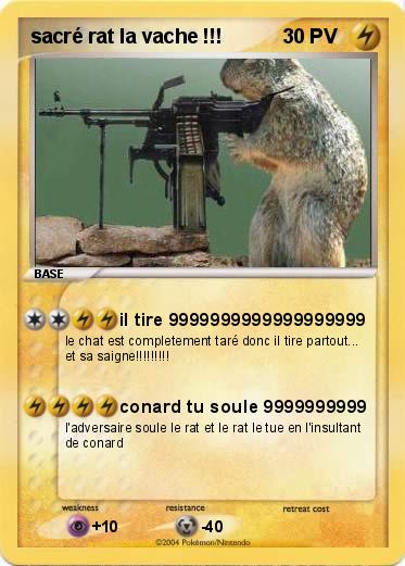 Pokemon sacré rat la vache !!!