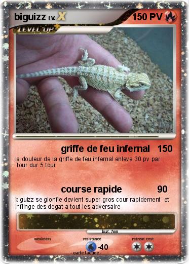 Pokemon biguizz