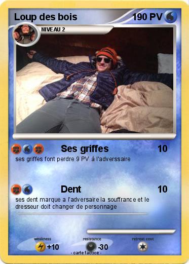 Pokemon Loup des bois