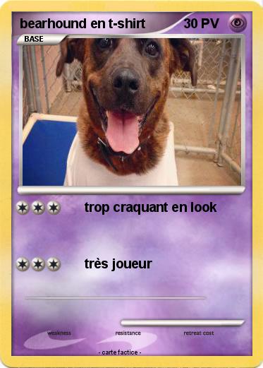 Pokemon bearhound en t-shirt
