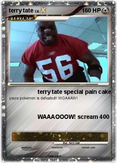 Pokemon terry tate