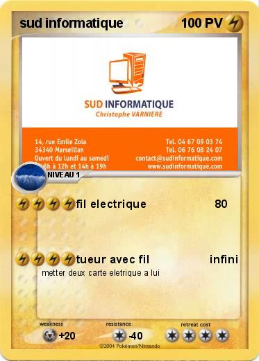 Pokemon sud informatique