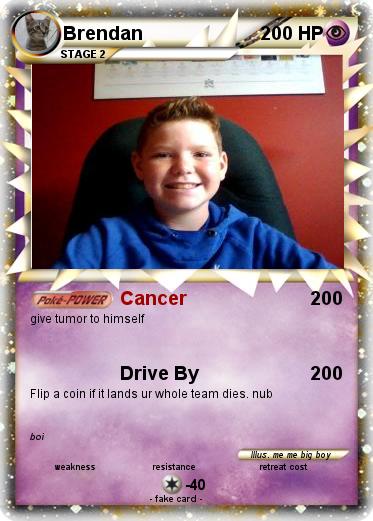 Pokemon Brendan