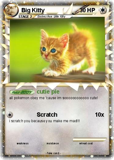 Pokemon Big Kitty