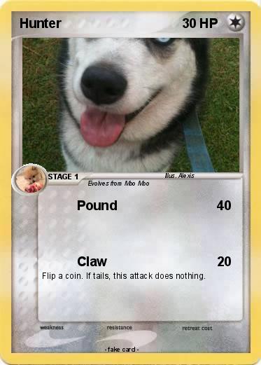 Pokemon Hunter