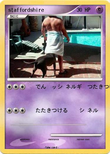 Pokemon staffordshire