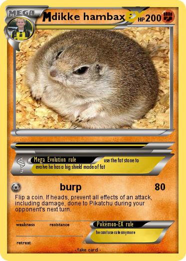Pokemon dikke hambax