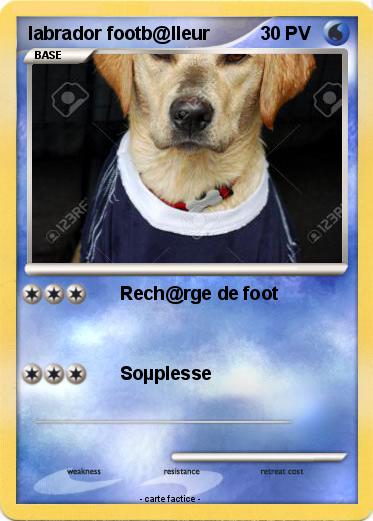 Pokemon labrador footb@lleur
