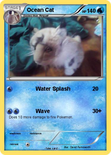 Pokemon Ocean Cat