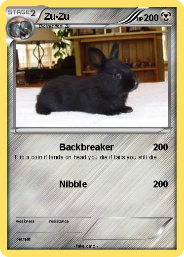 Pokemon Zu-Zu