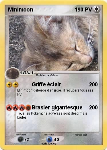 Pokemon Minimoon