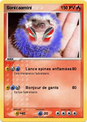 Pokemon Sonicaamini           