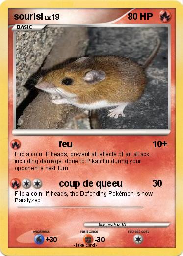 Pokemon sourisi
