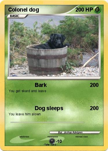 Pokemon Colonel dog