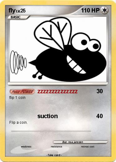 Pokemon fly
