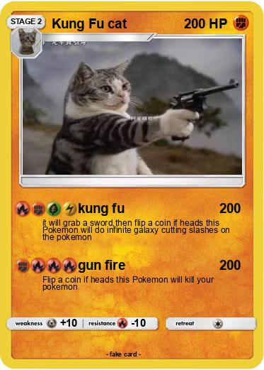 Pokemon Kung Fu cat